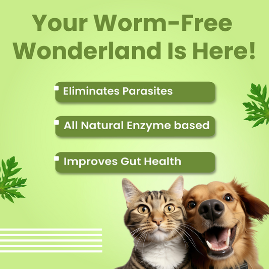 Bark Out Loud En Dewor Deworming Solution Tablets for Dogs and Cats