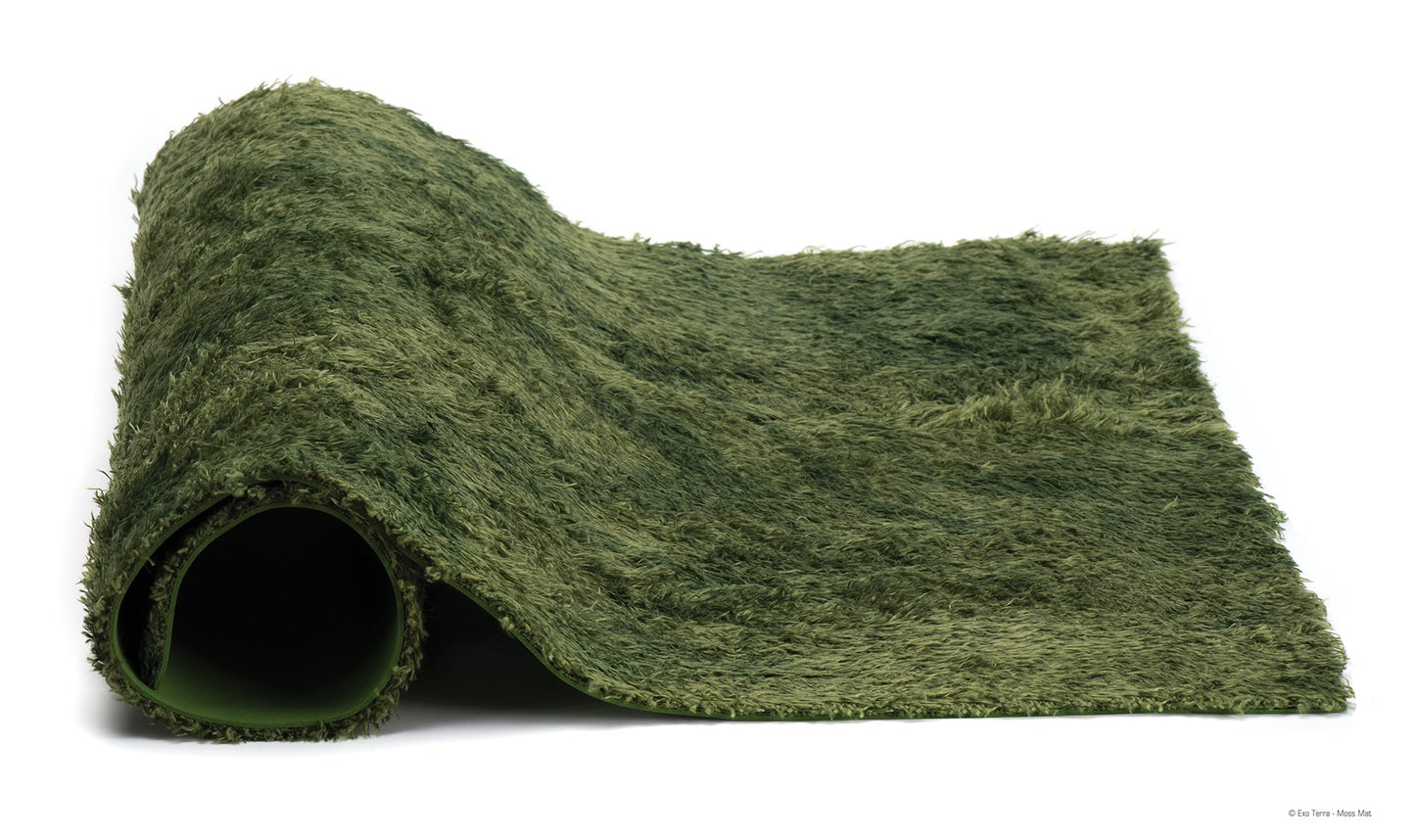 Exo Terra - Moss Mat (30cm x 30cm)