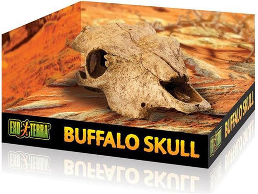 Exo Terra - Buffalo Skull (Medium)
