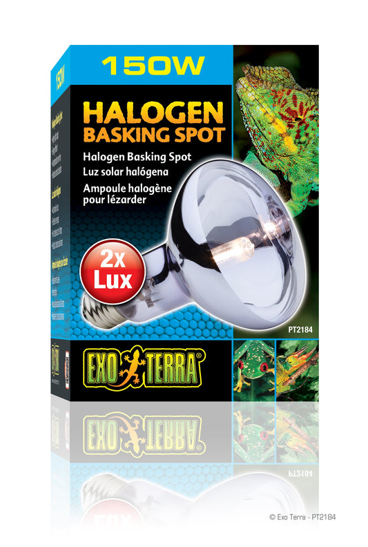 Exo Terra - Sun Glo Daylight Halogen Lamp (150w)