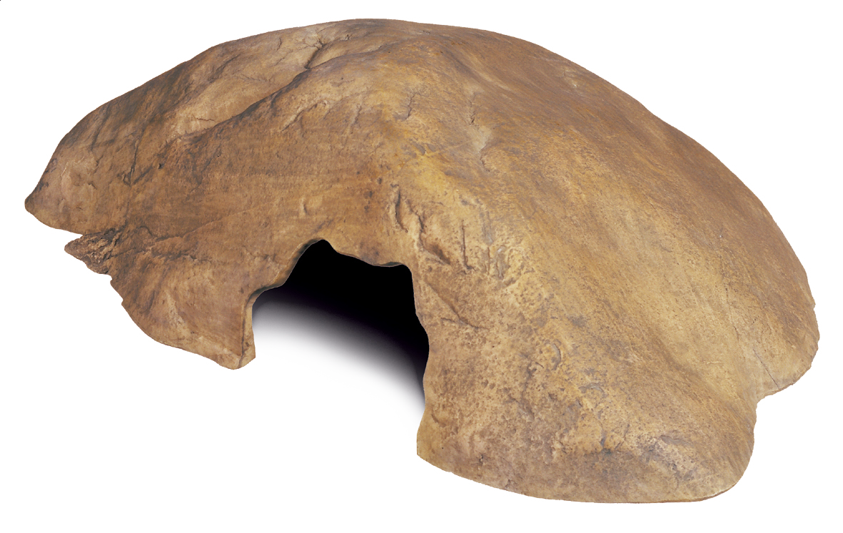 Exo Terra - Hiding Cave (Medium)