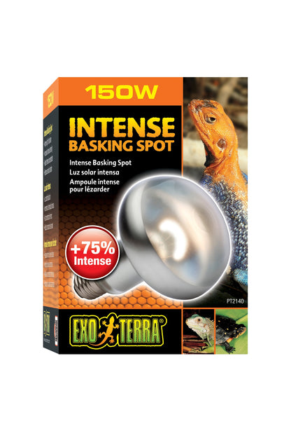 Exo Terra - Sun Glo Basking Spot Lamp (150w)